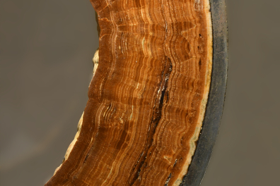 Aragonite cristallisée dans une acienne conduite d'eau